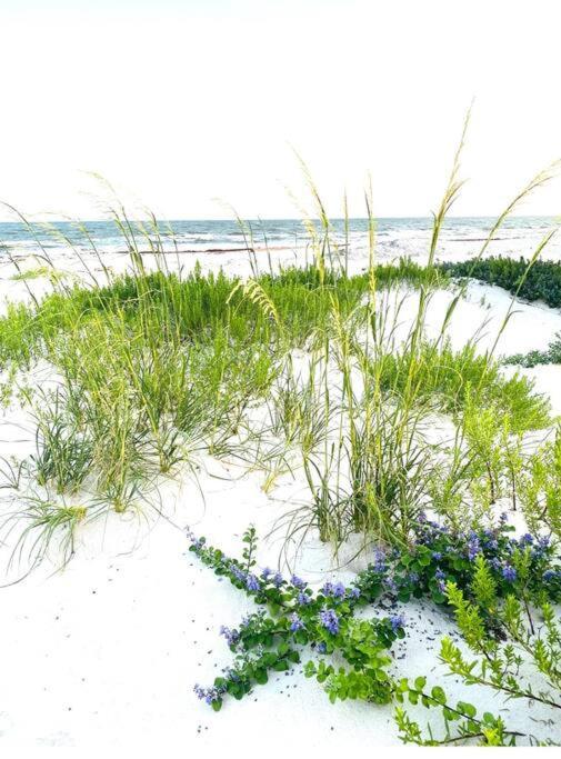 Pet Friendly Tranquil Cottage With Fire-Pit And Seasonal Hot Tub Sept-March Minutes To Beaches Dauphin Island Ngoại thất bức ảnh